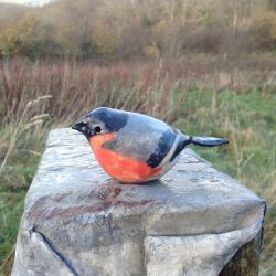 Bullfinch main picture