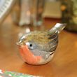 Robin 5